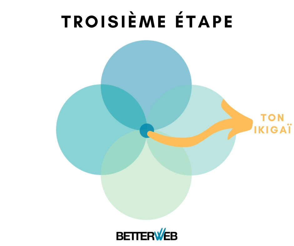 Ton ikigaï se trouve à l'intersection de tous les cercles